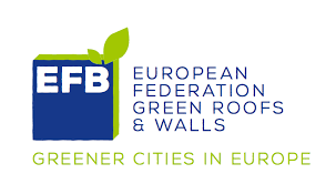Logo-EFB.png